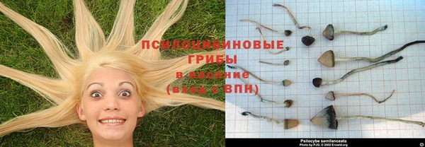 марки lsd Остров
