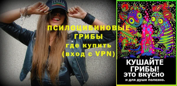 тгк Осинники