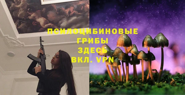 тгк Осинники