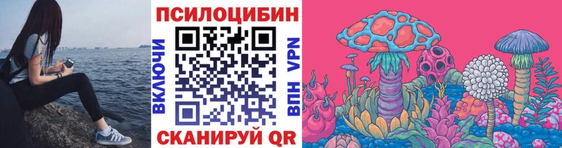 Галлюциногенные грибы прущие грибы  хочу наркоту  hydra ТОР  Воронеж 