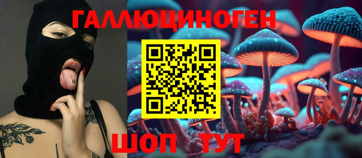 закладка  Вход с VPN  Воронеж  Псилоцибиновые грибы MAGIC MUSHROOMS 