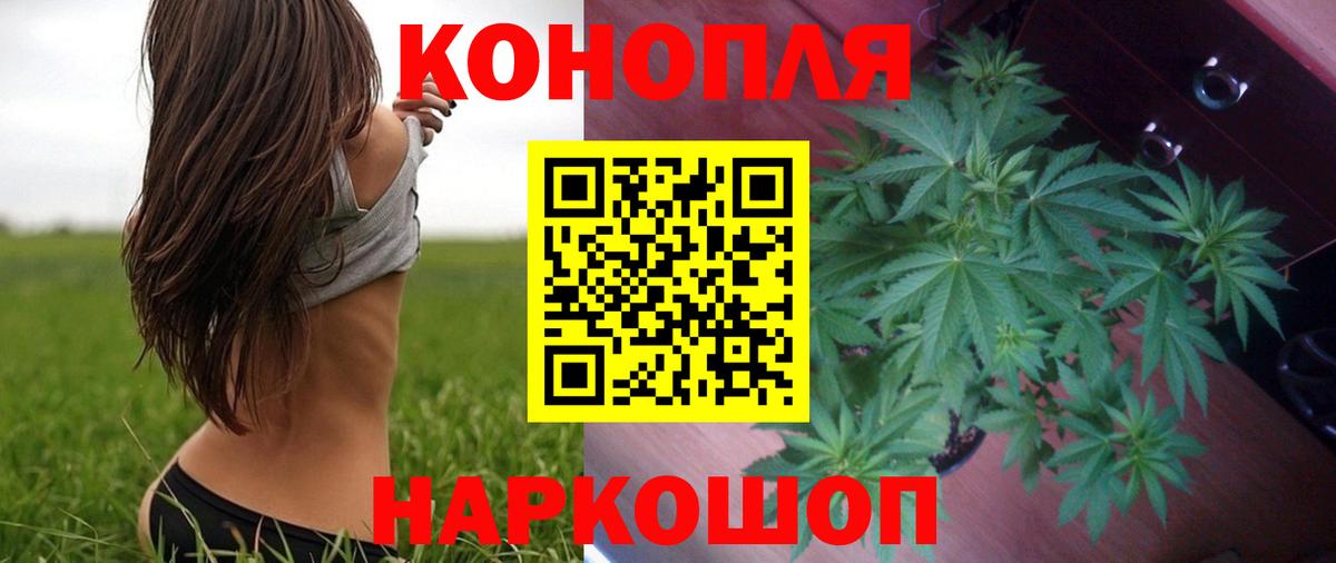 Конопля индика  Канабис конопля  Бошки марихуана Ganja  Конопля OG Kush  Вход с VPN  Воронеж 